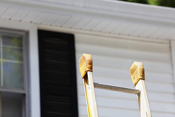Best Hoarding Cleanup  in Seneca, MO